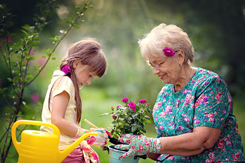 Spring Activity Recommendations for you and Your Senior Loved One - Hiram, GA